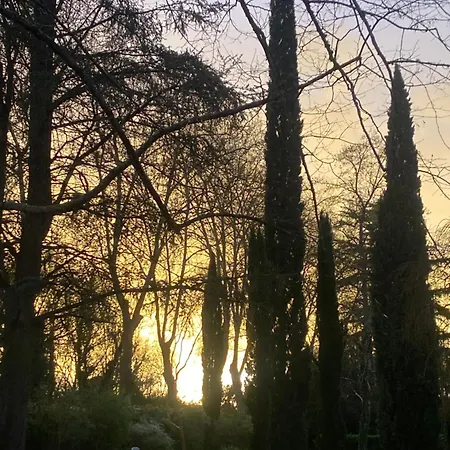 Les Jardins De Phidji Konukevi Buzet-sur-Tarn