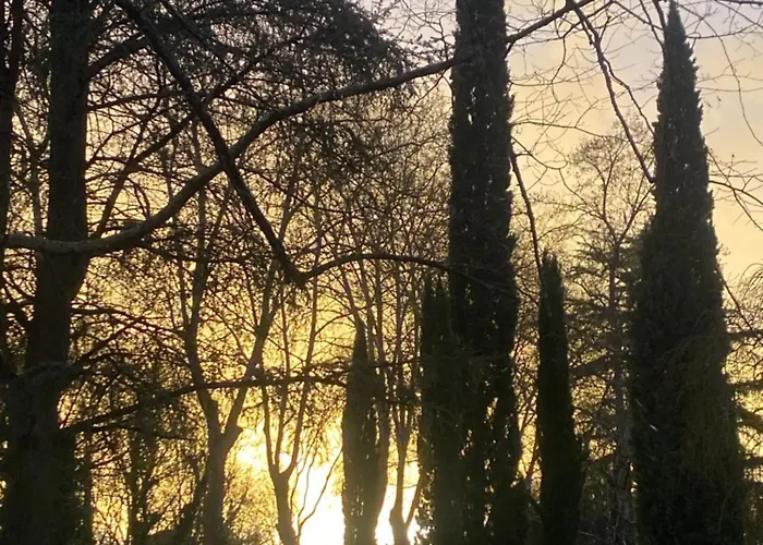 Les Jardins De Phidji ゲストハウス Buzet-sur-Tarn