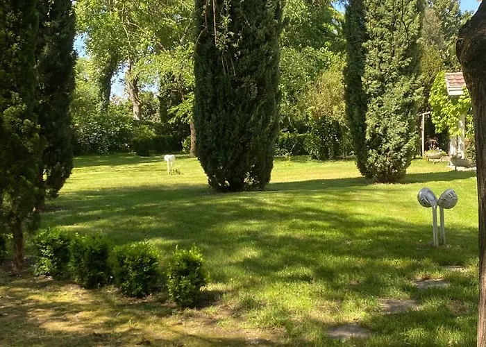 Les Jardins De Phidji ゲストハウス *